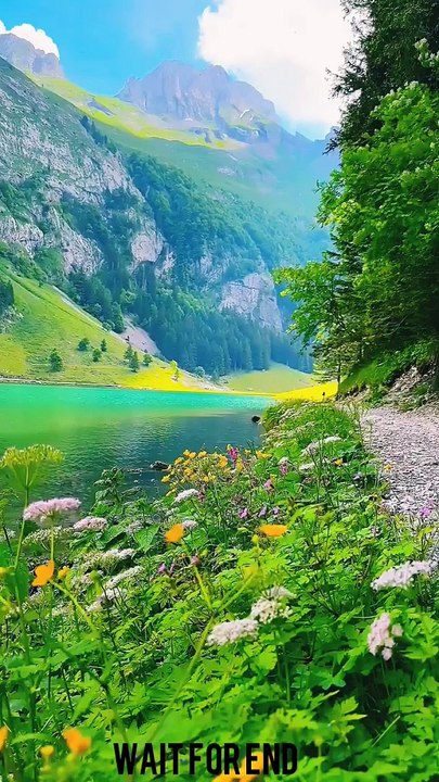 Islamic viral videos shorts, viral shorts, viral videos