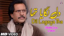 Dil Lagaya Tha | Attaullah Khan Esakhelvi