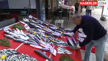 Karadeniz'de Olumsuz Hava Koşulları, Balık Fiyatlarını Yükseltti