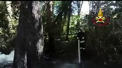 Pescara: incendio pineta dannunziana, l'intervento dei vigili del fuoco