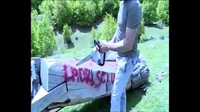 Le opere sfregiate nel Parco, come gli artisti fanno trionfare l'arte