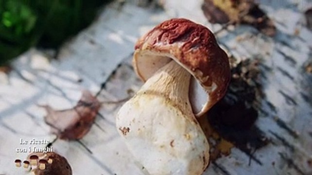 Il libro di cucina in regalo con il Centro