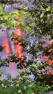 Pescara, pineta dannunziana in fiamme