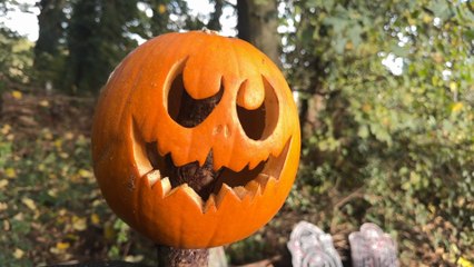 Spooktacular Halloween Fun at Swithens Farm in Rothwell 🎃