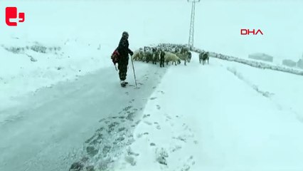 Yaylada kardan mahsur kalan çoban ve sürüsü kurtarıldı