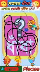 এই বিড়ালটা নিচে থাকা কোন মাছটা ধরতে পেরেছে #ytshorts #shorts #dhadha