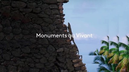 La vie sauvage des monuments aux petites antilles - 22 octobre