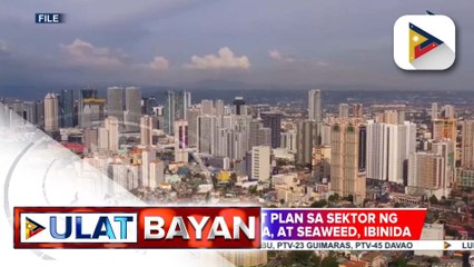 Strategic Investment Plan sa sektor ng abaca, kawayan, mangga, at seaweed, ibinida ng D.A.
