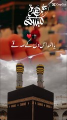 Mashallah Mashallah ❤️