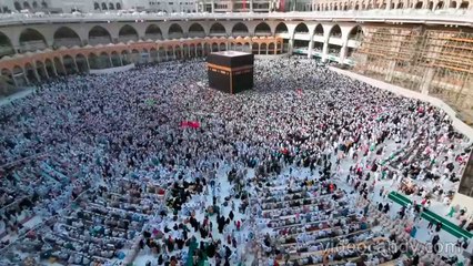 369  আসক্তি বিজ্ঞান ।। নেশা কারা করে, কেন করে ।। The Science of Addiction ।।