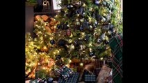 Black and Gold Christmas Decoration ideas and Tips 2024