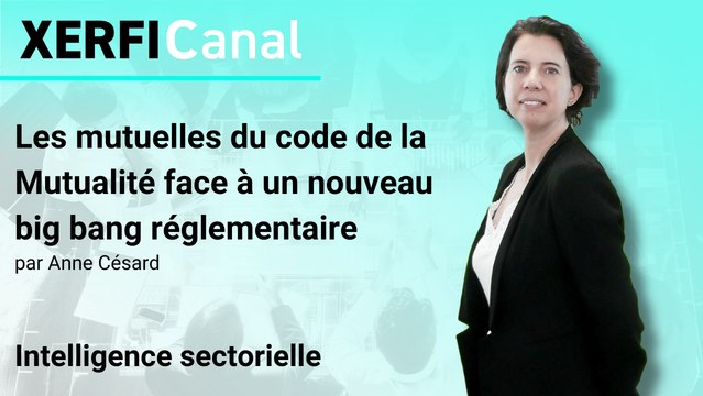 Les mutuelles du code de la Mutualité face à un nouveau big bang réglementaire [Anne Césard]
