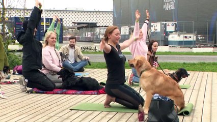 Bruxelas acolhe festival dedicado aos cães