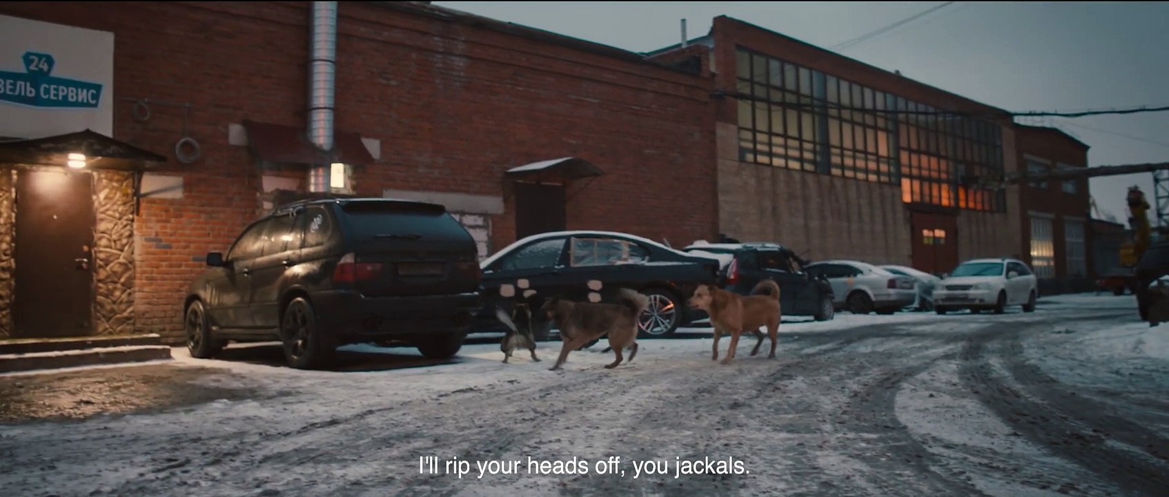 Dreaming Dogs - Trailer