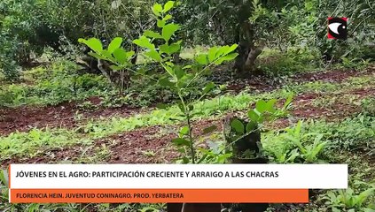 Jóvenes en el agro: participación creciente y arraigo a las chacras