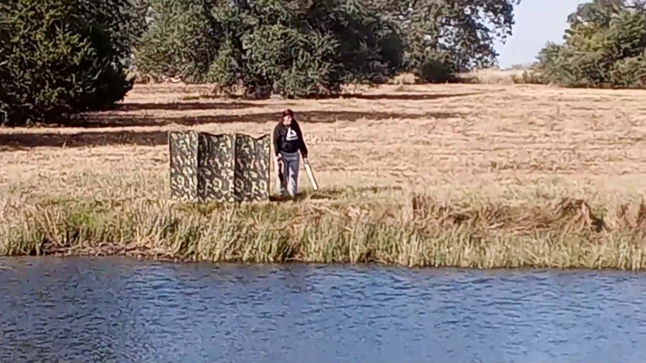 Retrievers duck hunt