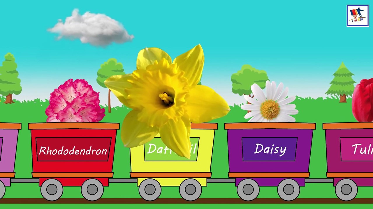 Flowers Name