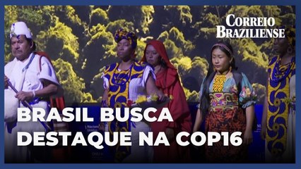 Brasil busca protagonismo na COP16 de Biodiversidade