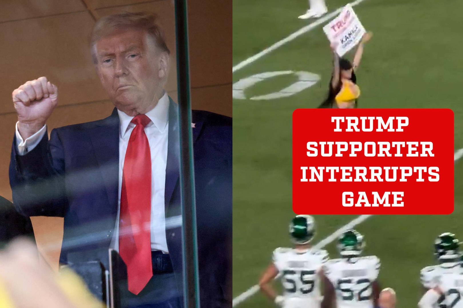 Trump Supporter Was Escorted Out Of The Stadium After Invading The 