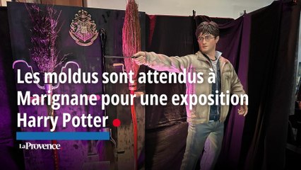 Les moldus sont attendus à Marignane pour une exposition Harry Potter