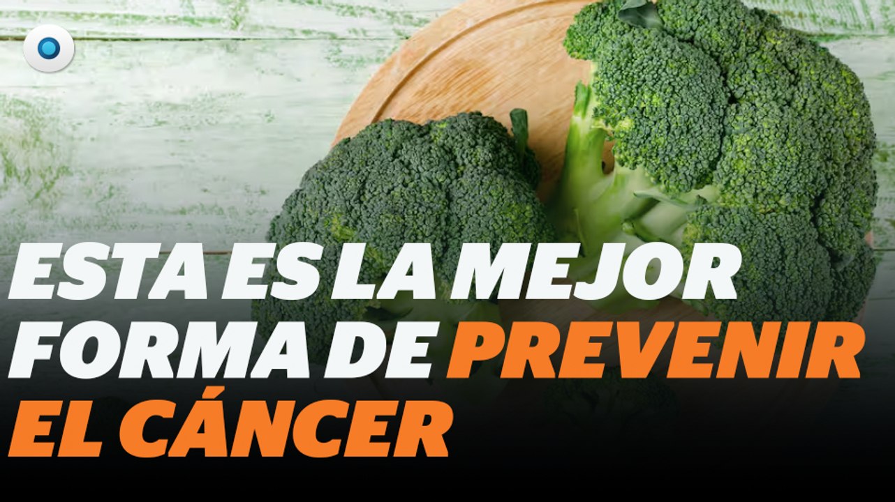 Esta es la mejor forma de prevenir el cáncer I Reporte Indigo