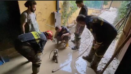 Download Video: La protezione civile trentina all'opera nei paesi allagati del Bolognese