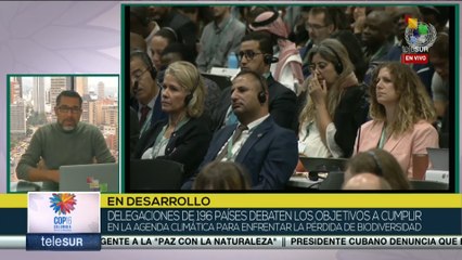 Avanza la COP16 con la mirada puesta en los objetivos para 2030