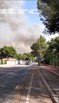 Le fiamme, la fuga dalle case, l'incendio nella pineta: Qui ? un macello