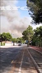 Le fiamme, la fuga dalle case, l'incendio nella pineta: "Qui ? un macello"
