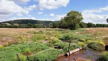Drone footage of the National Trust's river re-set project on the River Aller through Exmoor's Holnicote estate one year on from completion.