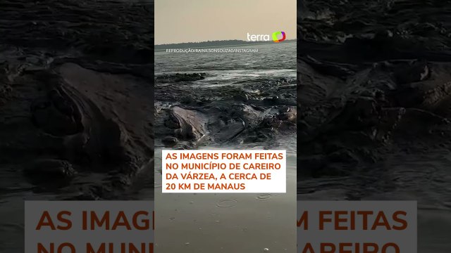 Pescador atravessa lago repleto de jacarés durante seca no Amazonas #shorts