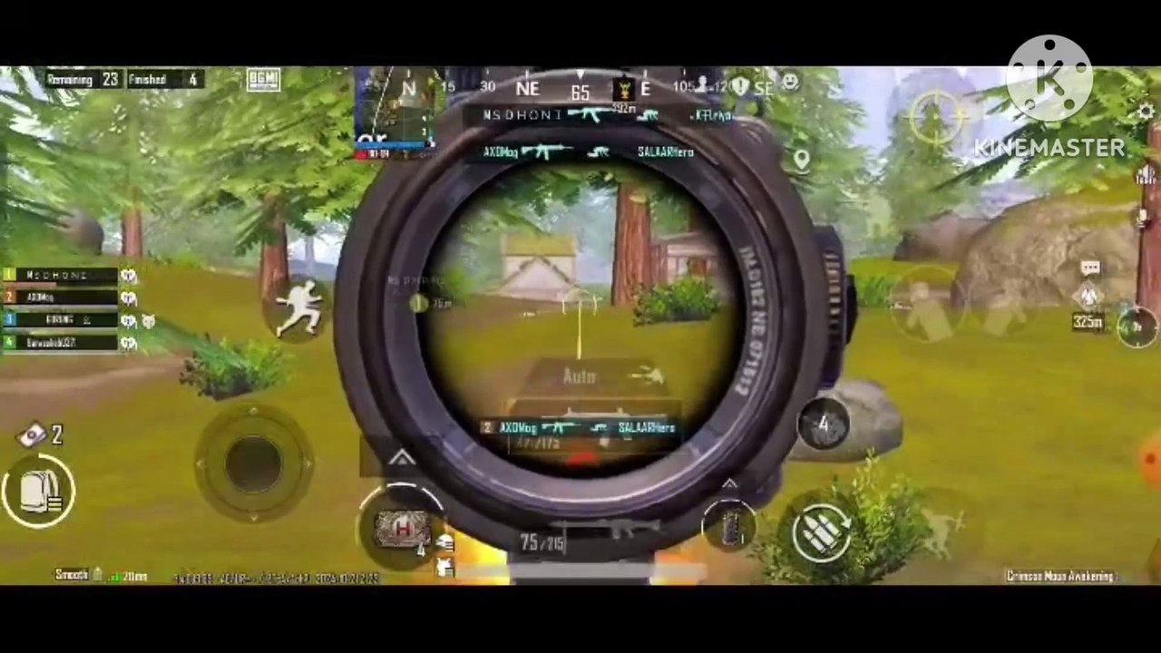 OG GAMING