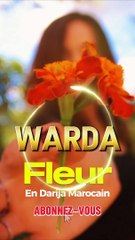 Comment dire 'Fleur' en Arabe Marocain | Apprends 'Warda' en Darija