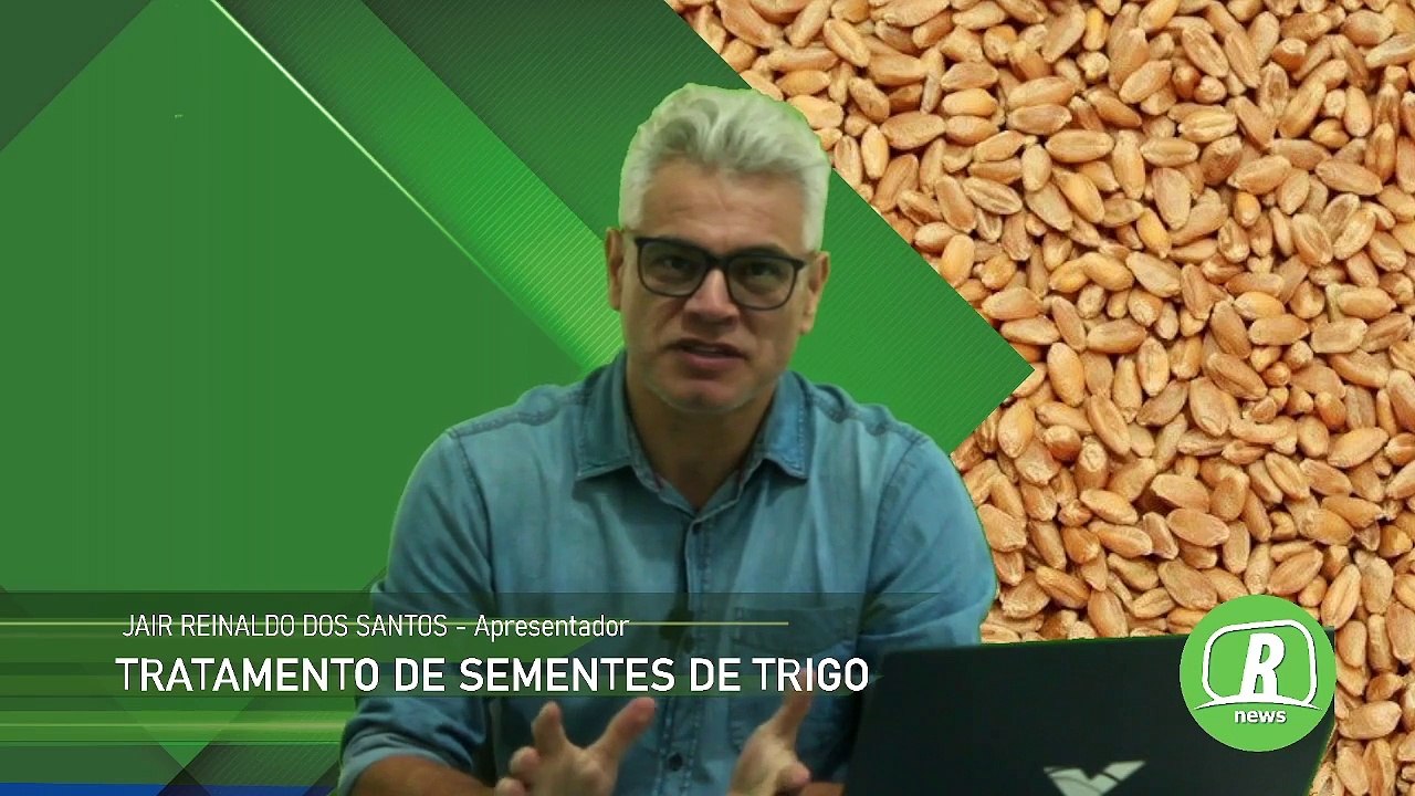 Tratamento da semente e manejo é fundamental na cultura de trigo