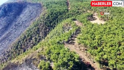 Muğla'da Orman Yangını Kontrol Altına Alındı