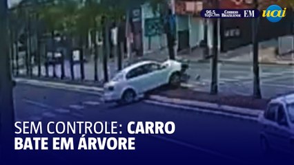 Mulher passa reto em cruzamento e arranca palmeira com carro