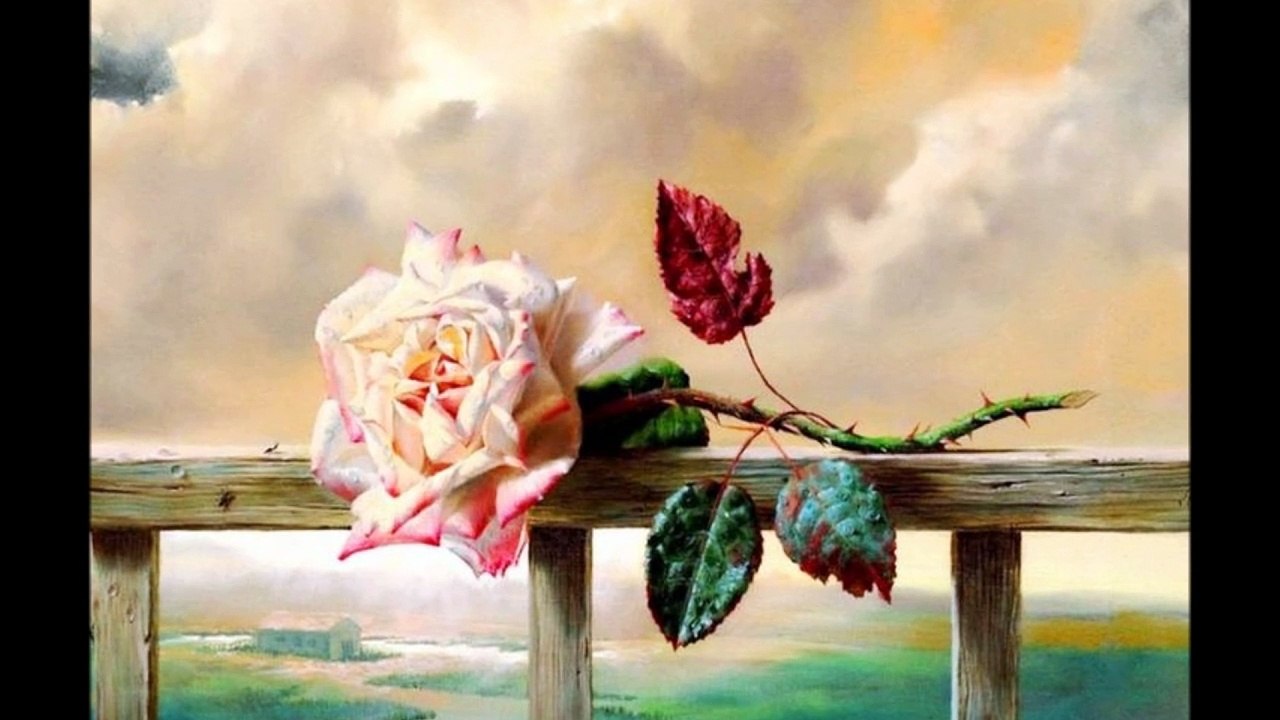 Fernando Valadez Alma mia