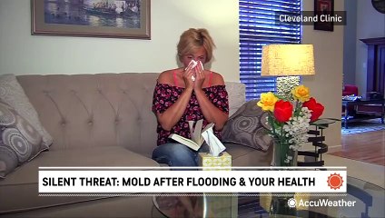 Silent threat: How mold after flooding can endanger your health