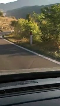 Montorio: super branco di quasi 100 cinghiali attraversa la strada