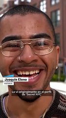 Una paloma gigante en Nueva York