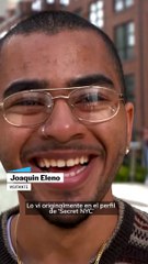 Paloma gigante en Nueva York