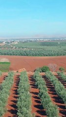 من مكناس إلى فاس المغرب Maroc morroco