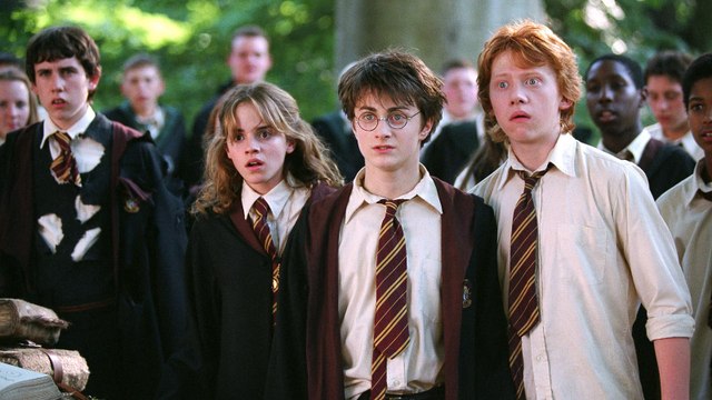 'Harry Potter' Series Will be "More In-Depth" Than the Films, Says Warner Bros. TV Boss | THR News Video