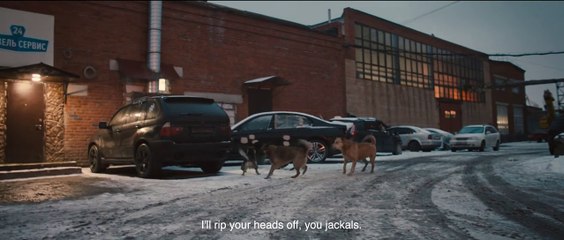 DREAMING DOGS Trailer