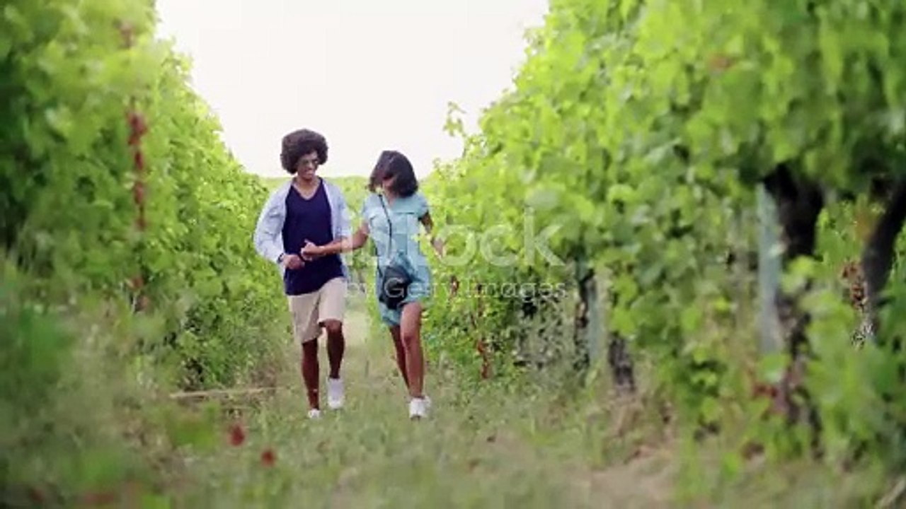 Vineyard Tour in the Dijon Region