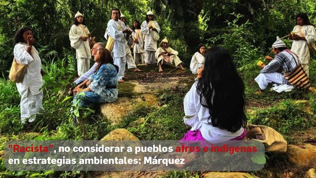 Racista , no considerar a pueblos afros e indígenas en estrategias ambientales: Márquez