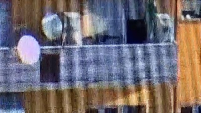 Arriva la polizia a Rancitelli e la droga vola dalla finestra