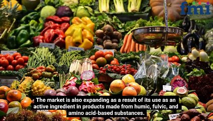 Biostimulants: A Catalyst for Change in the Global Agriculture Industry