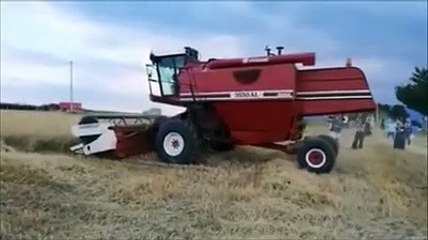 La festa per il primo grano, la trebbiatura e la Pupa accesa