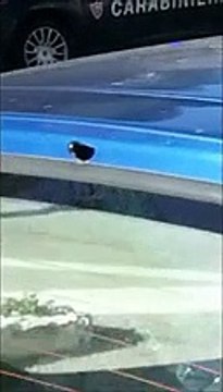 Bloccato e arrestato dopo l'inseguimento